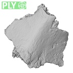 DV16-173 Homo sapiens pelvic fragment ply