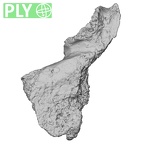 DV16-174 Homo sapiens pelvic fragment ply