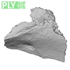 DV16-176 Homo sapiens pelvic fragment ply