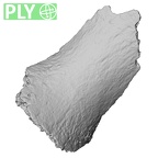 DV16-177 Homo sapiens pelvic fragment ply