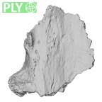 DV16-178 Homo sapiens pelvic fragment ply