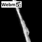 DV16-180 Homo sapiens pelvic fragment ct stack movie