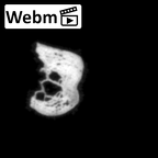 DV16-181 Homo sapiens pelvic fragment ct stack movie
