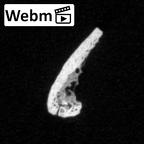 DV16-182 Homo sapiens pelvic fragment ct stack movie