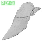 DV16-182 Homo sapiens pelvic fragment ply