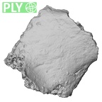 DV16-183 Homo sapiens pelvic fragment ply