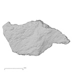 DV16-184 Homo sapiens pelvic fragment view 1