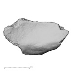 DV16-185 Homo sapiens pelvic fragment view 1