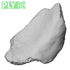 DV16-185 Homo sapiens pelvic fragment ply