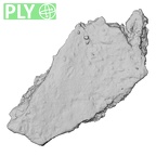 DV16-186 Homo sapiens pelvic fragment ply