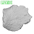 DV16-187 Homo sapiens pelvic fragment ply