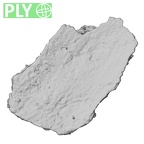 DV16-189 Homo sapiens pelvic fragment ply