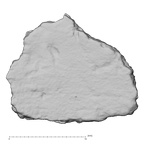 DV16-190 Homo sapiens pelvic fragment view 1