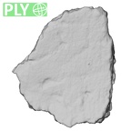 DV16-190 Homo sapiens pelvic fragment ply