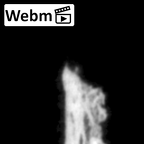 DV16-191a Homo sapiens pelvic fragment ct stack movie