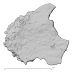 DV16-191b Homo sapiens pelvic fragment view 1