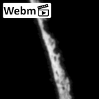 DV16-191b Homo sapiens pelvic fragment ct stack movie