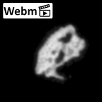 DV16-191c Homo sapiens pelvic fragment ct stack movie