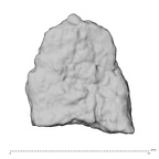 DV16-191d Homo sapiens pelvic fragment view 1