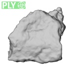 DV16-191e Homo sapiens pelvic fragment ply