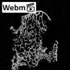 DV16-39 Homo sapiens cervical vertebra seventh ct stack movie