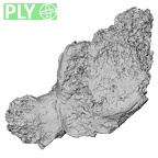 DV16-39 Homo sapiens cervical vertebra seventh ply