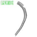 DV16-41 Homo sapiens rib eleventh left ply