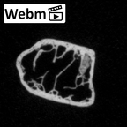 DV16-45 Homo sapiens rib ct stack movie