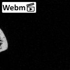 DV16-46 Homo sapiens rib ct stack movie