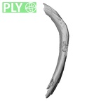 DV16-48 Homo sapiens rib ply