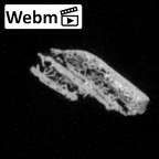 DV16-52 Homo sapiens rib ct stack movie