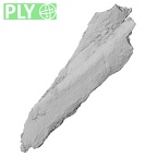 DV16-52 Homo sapiens rib ply