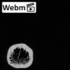 DV16-53 Homo sapiens clavicle right ct stack movie