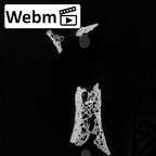 DV16-55 Homo sapiens scapula right ct stack movie