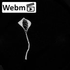 DV16-58 Homo sapiens scapula left ct stack movie