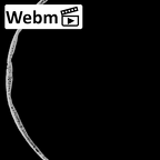 DV11-1 Homo sapiens cranium ct stack movie