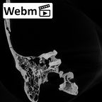 DV13-1 Homo sapiens temporal right ct stack movie