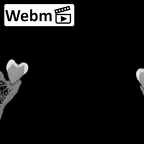 DV13-2 Homo sapiens mandible ct stack movie