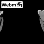 DV13-2 Homo sapiens mandible dentition ct stack movie