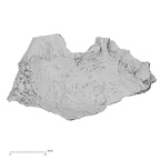 DV14-151 Homo sapiens cranium fragment view 1