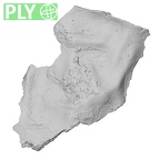 DV14-151 Homo sapiens cranium fragment ply