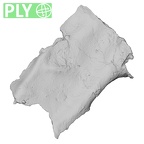 DV14-152 Homo sapiens cranium fragment ply