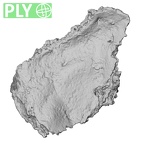 DV14-153 Homo sapiens cranium fragment ply