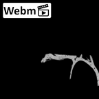 DV14-156 Homo sapiens cranium fragment ct stack movie