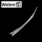 DV14-157 Homo sapiens cranium fragment ct stack movie