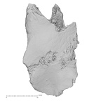 DV14-159 Homo sapiens cranium fragment view 2