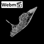 DV14-159 Homo sapiens cranium fragment ct stack movie