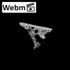 DV14-160 Homo sapiens cranium fragment ct stack movie