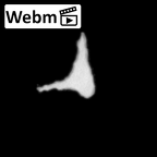 DV14-162 Homo sapiens cranium fragment ct stack movie