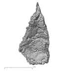 DV14-163 Homo sapiens cranium fragment view 3
